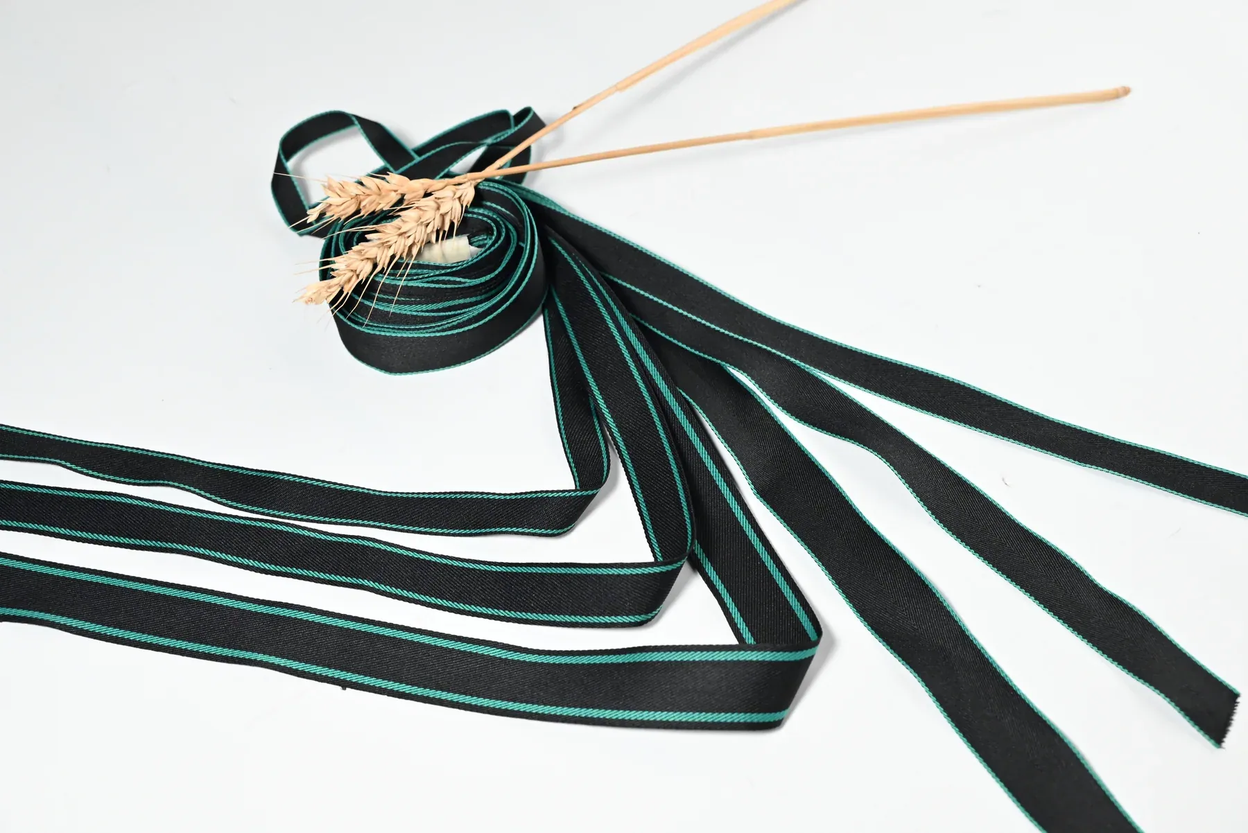 Black tape with turquoise edge stripes, coiled beside dried stems