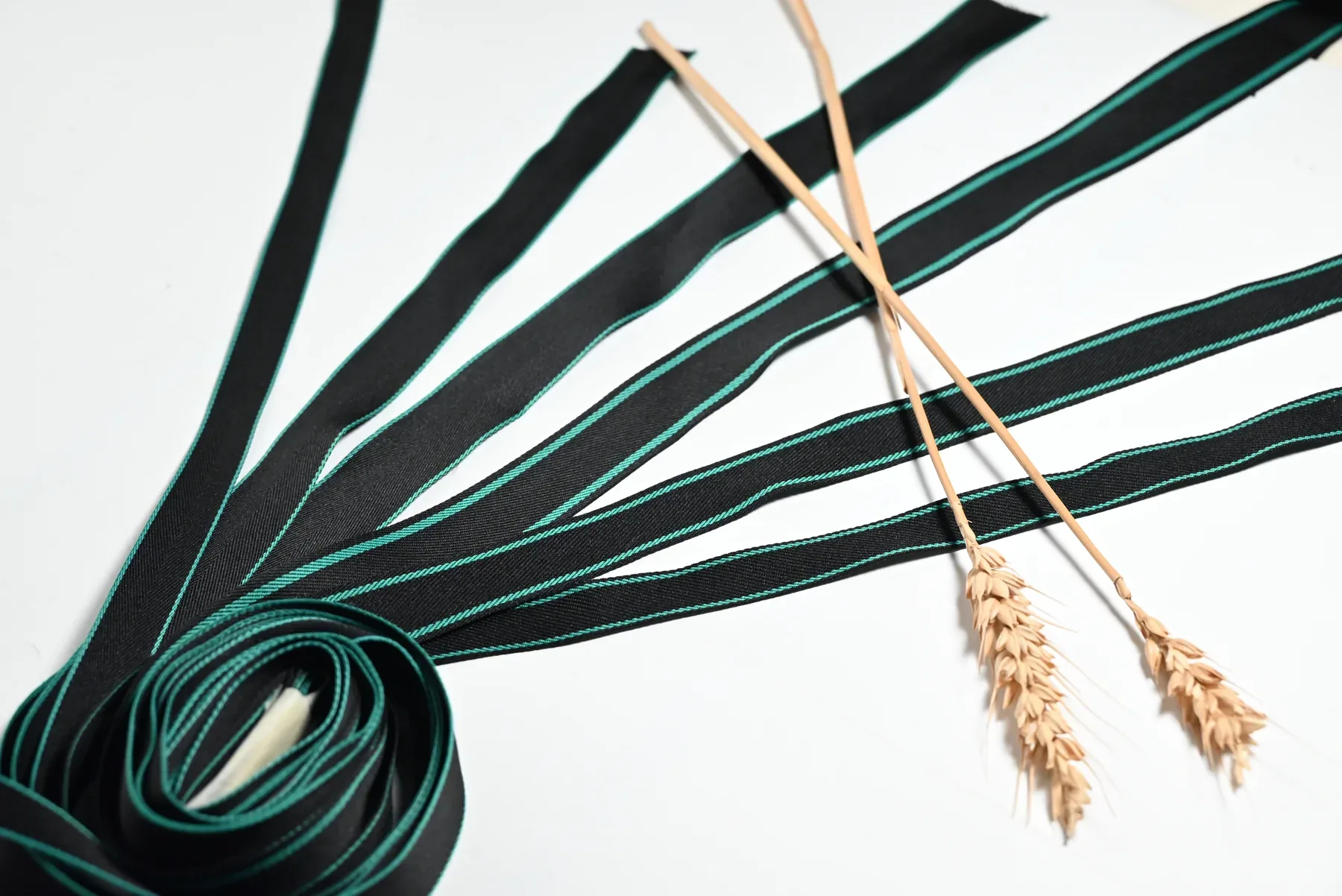 Coiled black tape with turquoise edge stripes and dried stems